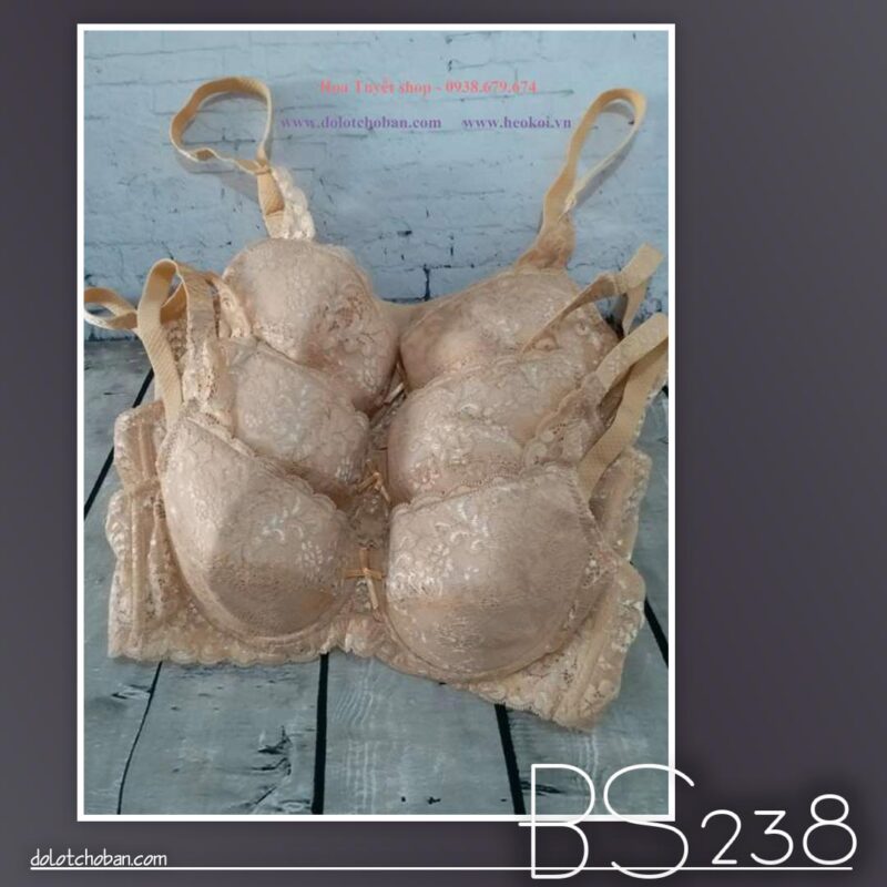 Áo Ngực Big Size BS238 - Đồ Lót Hoa Tuyết