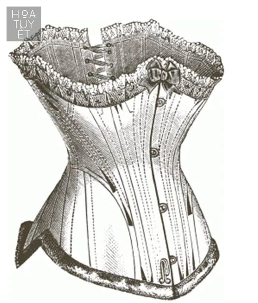 Áo nịt bắt nguồn từ phụ nữ thời phong kiến ở Châu Âu.